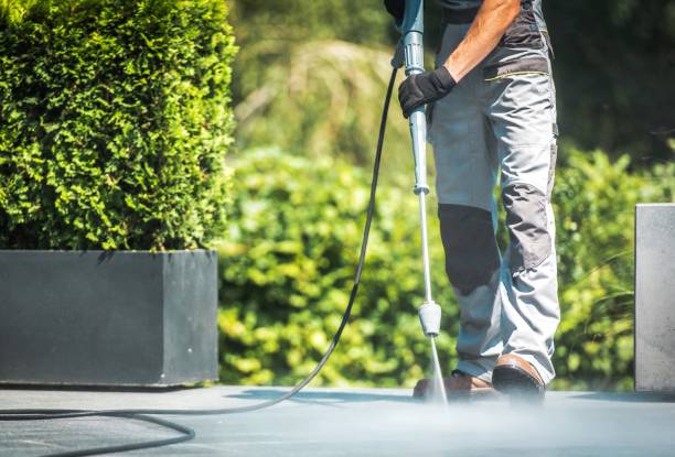 Best Roof Cleaning and Mildew Removal in Fruitland, NC