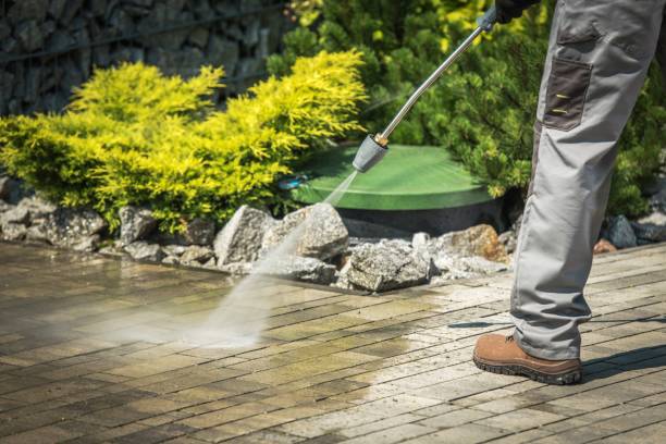 Best Sidewalk and Walkway Pressure Cleaning in Fruitland, NC