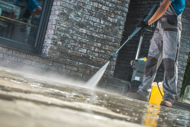 Best Fence Cleaning and Maintenance in Fruitland, NC
