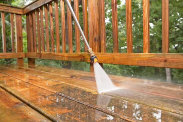 Trusted Fruitland, NC Pressure Washing Services Experts