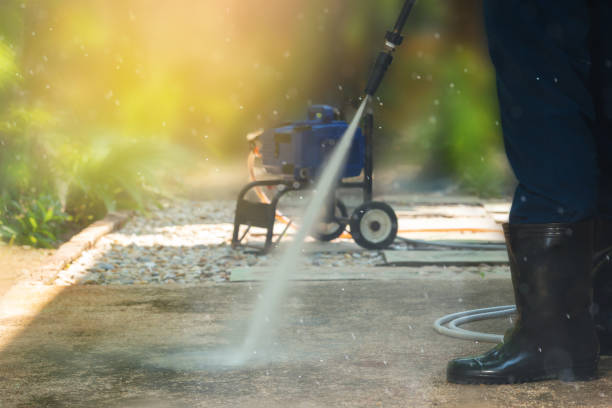 Best Gutter Cleaning and Brightening in Fruitland, NC